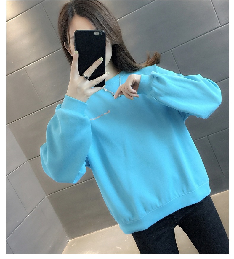 胸&背中刺しゅう きれい色 トップス プルオーバー スウェット ミディアム丈 長袖 ラグランスリーブ 襟なし クルーネック バックシャン バックコンシャス 刺繍 かわいい 大人可愛い シンプル 胸&背中刺しゅう きれい色 トップス プルオーバー スウェット ミディアム丈 長袖 ラグランスリーブ 襟なし クルーネック バックシャン バックコンシャス 刺繍 かわいい 大人可愛い シンプル