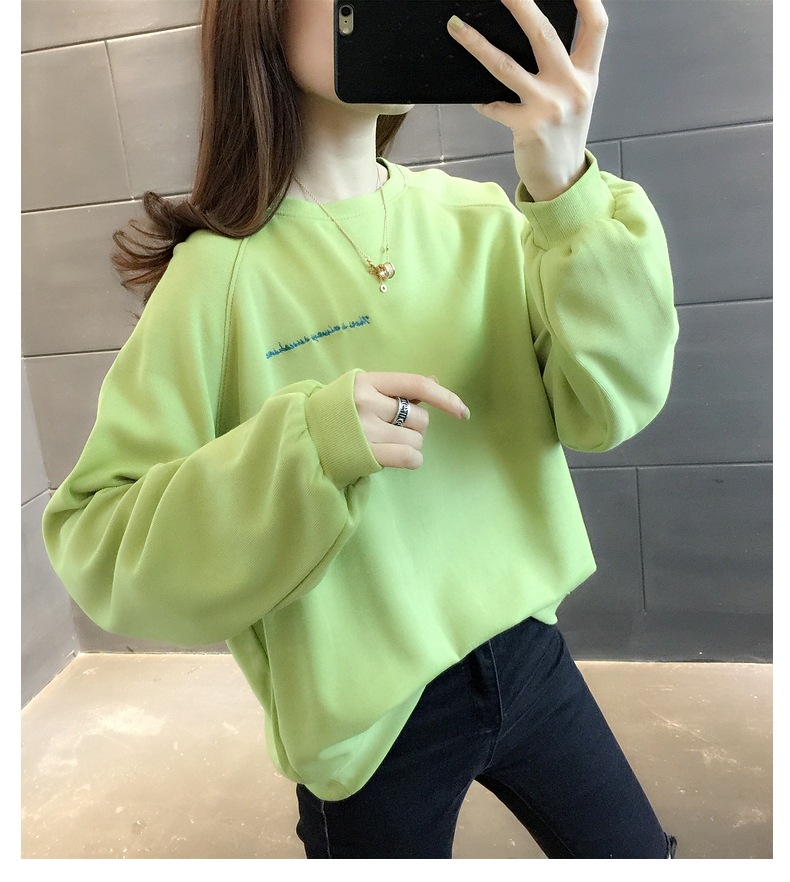 胸&背中刺しゅう きれい色 トップス プルオーバー スウェット ミディアム丈 長袖 ラグランスリーブ 襟なし クルーネック バックシャン バックコンシャス 刺繍 かわいい 大人可愛い シンプル 胸&背中刺しゅう きれい色 トップス プルオーバー スウェット ミディアム丈 長袖 ラグランスリーブ 襟なし クルーネック バックシャン バックコンシャス 刺繍 かわいい 大人可愛い シンプル