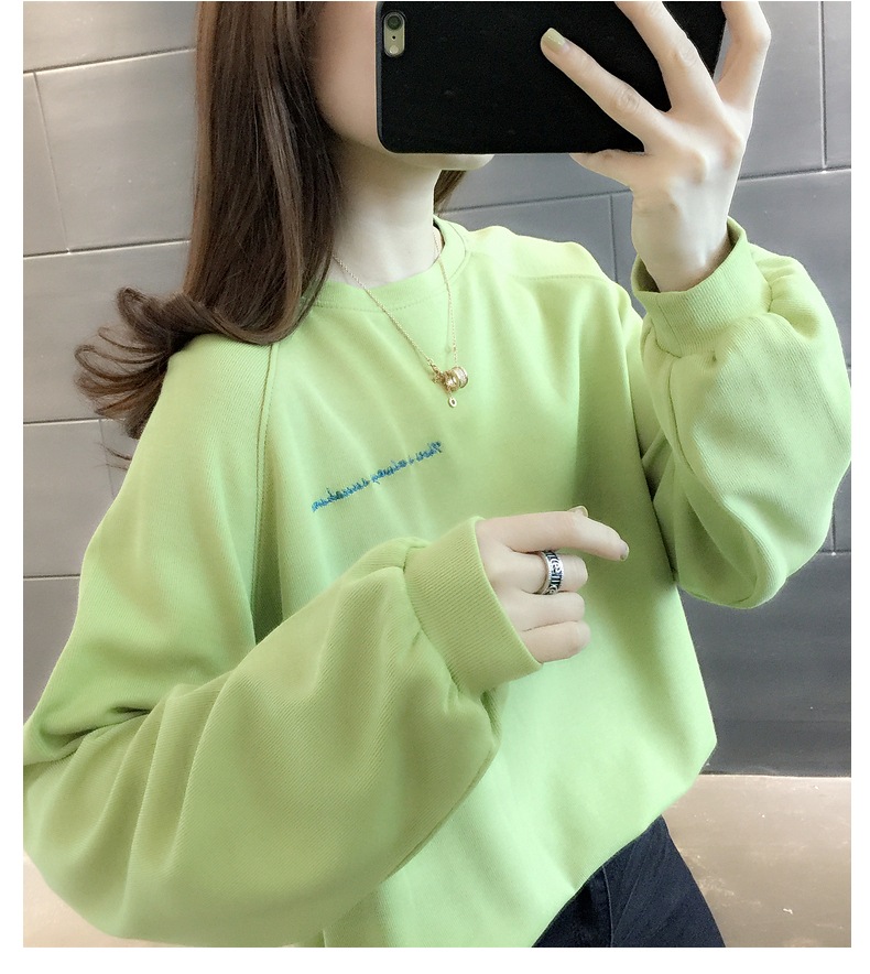 胸&背中刺しゅう きれい色 トップス プルオーバー スウェット ミディアム丈 長袖 ラグランスリーブ 襟なし クルーネック バックシャン バックコンシャス 刺繍 かわいい 大人可愛い シンプル 胸&背中刺しゅう きれい色 トップス プルオーバー スウェット ミディアム丈 長袖 ラグランスリーブ 襟なし クルーネック バックシャン バックコンシャス 刺繍 かわいい 大人可愛い シンプル