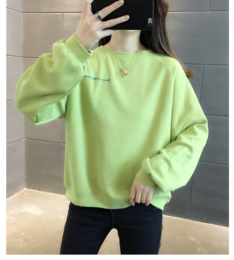 胸&背中刺しゅう きれい色 トップス プルオーバー スウェット ミディアム丈 長袖 ラグランスリーブ 襟なし クルーネック バックシャン バックコンシャス 刺繍 かわいい 大人可愛い シンプル 胸&背中刺しゅう きれい色 トップス プルオーバー スウェット ミディアム丈 長袖 ラグランスリーブ 襟なし クルーネック バックシャン バックコンシャス 刺繍 かわいい 大人可愛い シンプル