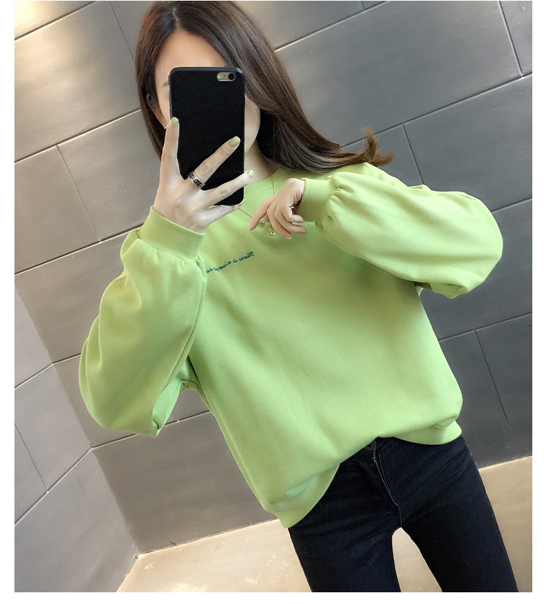 胸&背中刺しゅう きれい色 トップス プルオーバー スウェット ミディアム丈 長袖 ラグランスリーブ 襟なし クルーネック バックシャン バックコンシャス 刺繍 かわいい 大人可愛い シンプル 胸&背中刺しゅう きれい色 トップス プルオーバー スウェット ミディアム丈 長袖 ラグランスリーブ 襟なし クルーネック バックシャン バックコンシャス 刺繍 かわいい 大人可愛い シンプル