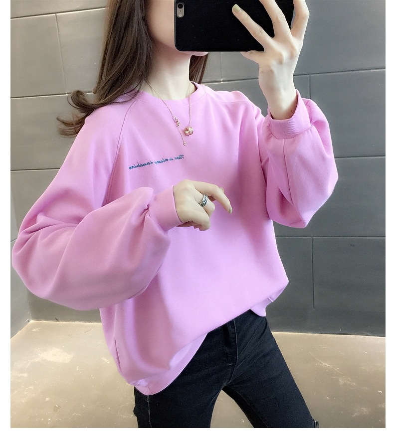 胸&背中刺しゅう きれい色 トップス プルオーバー スウェット ミディアム丈 長袖 ラグランスリーブ 襟なし クルーネック バックシャン バックコンシャス 刺繍 かわいい 大人可愛い シンプル 胸&背中刺しゅう きれい色 トップス プルオーバー スウェット ミディアム丈 長袖 ラグランスリーブ 襟なし クルーネック バックシャン バックコンシャス 刺繍 かわいい 大人可愛い シンプル