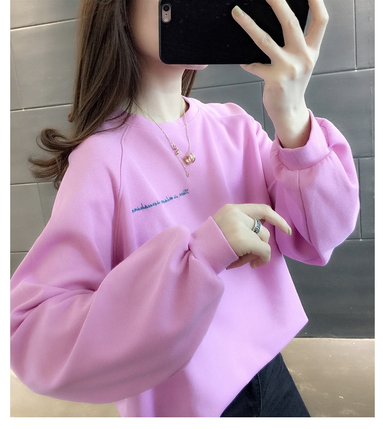 胸&背中刺しゅう きれい色 トップス プルオーバー スウェット ミディアム丈 長袖 ラグランスリーブ 襟なし クルーネック バックシャン バックコンシャス 刺繍 かわいい 大人可愛い シンプル 胸&背中刺しゅう きれい色 トップス プルオーバー スウェット ミディアム丈 長袖 ラグランスリーブ 襟なし クルーネック バックシャン バックコンシャス 刺繍 かわいい 大人可愛い シンプル