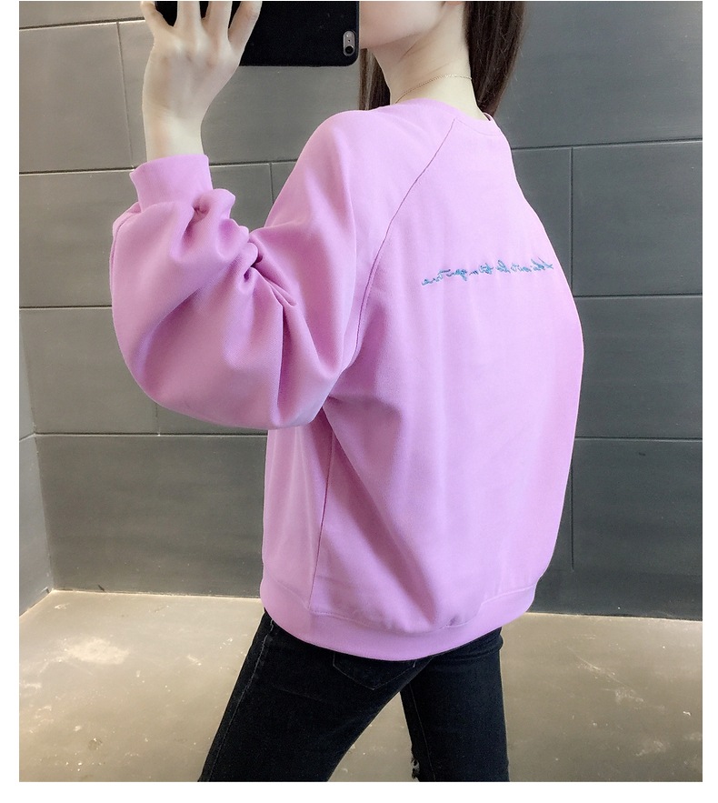 胸&背中刺しゅう きれい色 トップス プルオーバー スウェット ミディアム丈 長袖 ラグランスリーブ 襟なし クルーネック バックシャン バックコンシャス 刺繍 かわいい 大人可愛い シンプル 胸&背中刺しゅう きれい色 トップス プルオーバー スウェット ミディアム丈 長袖 ラグランスリーブ 襟なし クルーネック バックシャン バックコンシャス 刺繍 かわいい 大人可愛い シンプル