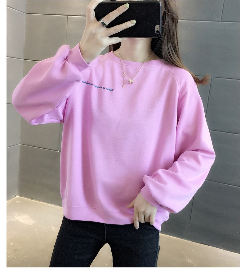 胸&背中刺しゅう きれい色 トップス プルオーバー スウェット ミディアム丈 長袖 ラグランスリーブ 襟なし クルーネック バックシャン バックコンシャス 刺繍 かわいい 大人可愛い シンプル 胸&背中刺しゅう きれい色 トップス プルオーバー スウェット ミディアム丈 長袖 ラグランスリーブ 襟なし クルーネック バックシャン バックコンシャス 刺繍 かわいい 大人可愛い シンプル