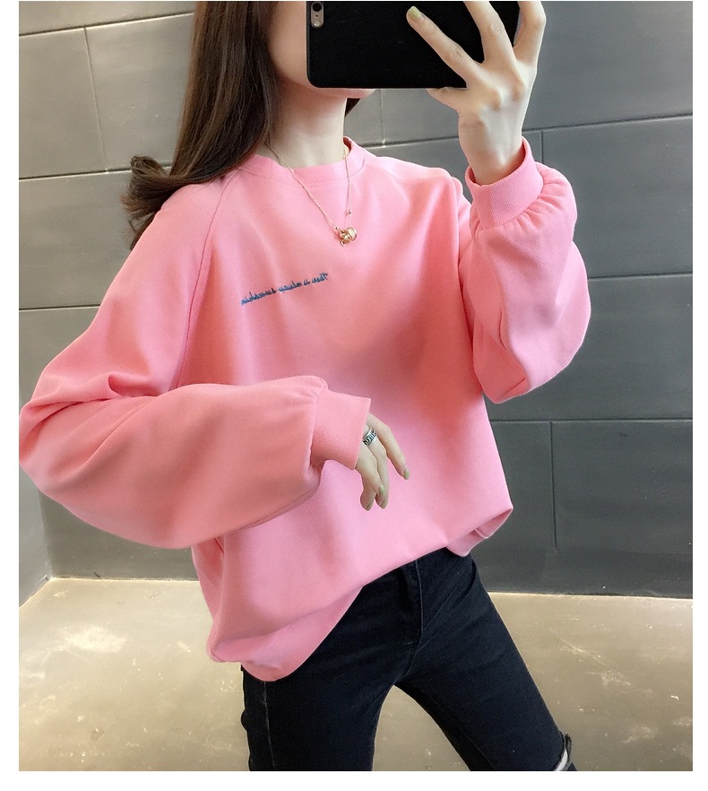 胸&背中刺しゅう きれい色 トップス プルオーバー スウェット ミディアム丈 長袖 ラグランスリーブ 襟なし クルーネック バックシャン バックコンシャス 刺繍 かわいい 大人可愛い シンプル 胸&背中刺しゅう きれい色 トップス プルオーバー スウェット ミディアム丈 長袖 ラグランスリーブ 襟なし クルーネック バックシャン バックコンシャス 刺繍 かわいい 大人可愛い シンプル