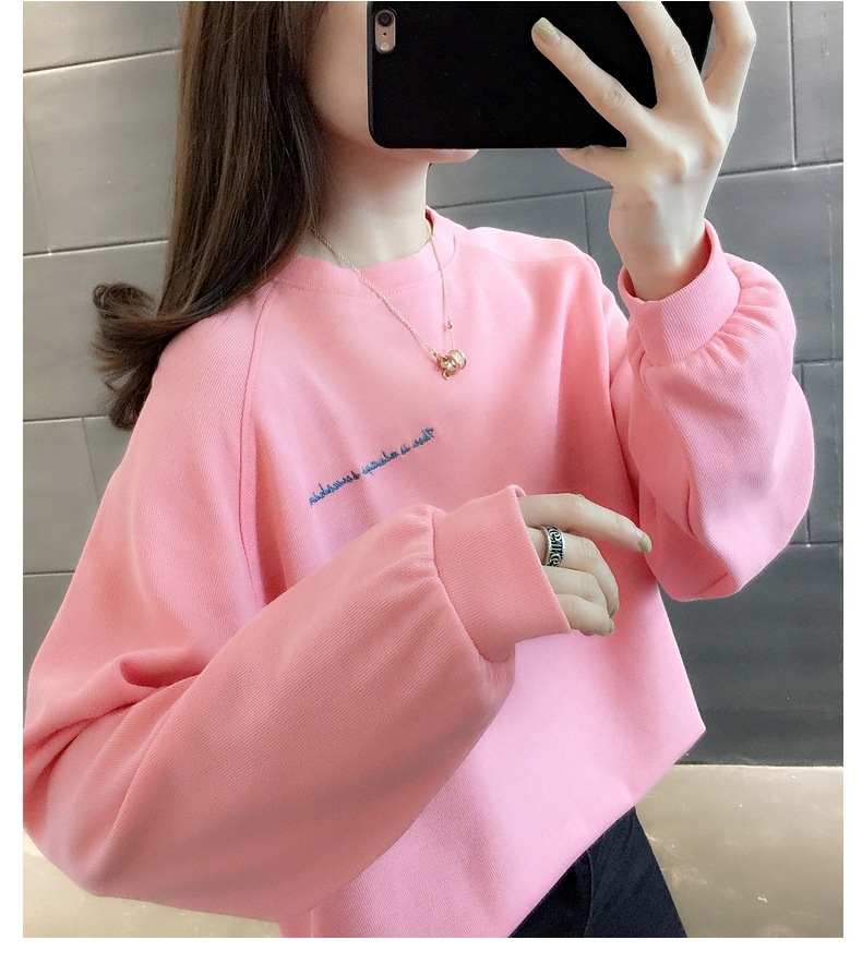 胸&背中刺しゅう きれい色 トップス プルオーバー スウェット ミディアム丈 長袖 ラグランスリーブ 襟なし クルーネック バックシャン バックコンシャス 刺繍 かわいい 大人可愛い シンプル 胸&背中刺しゅう きれい色 トップス プルオーバー スウェット ミディアム丈 長袖 ラグランスリーブ 襟なし クルーネック バックシャン バックコンシャス 刺繍 かわいい 大人可愛い シンプル