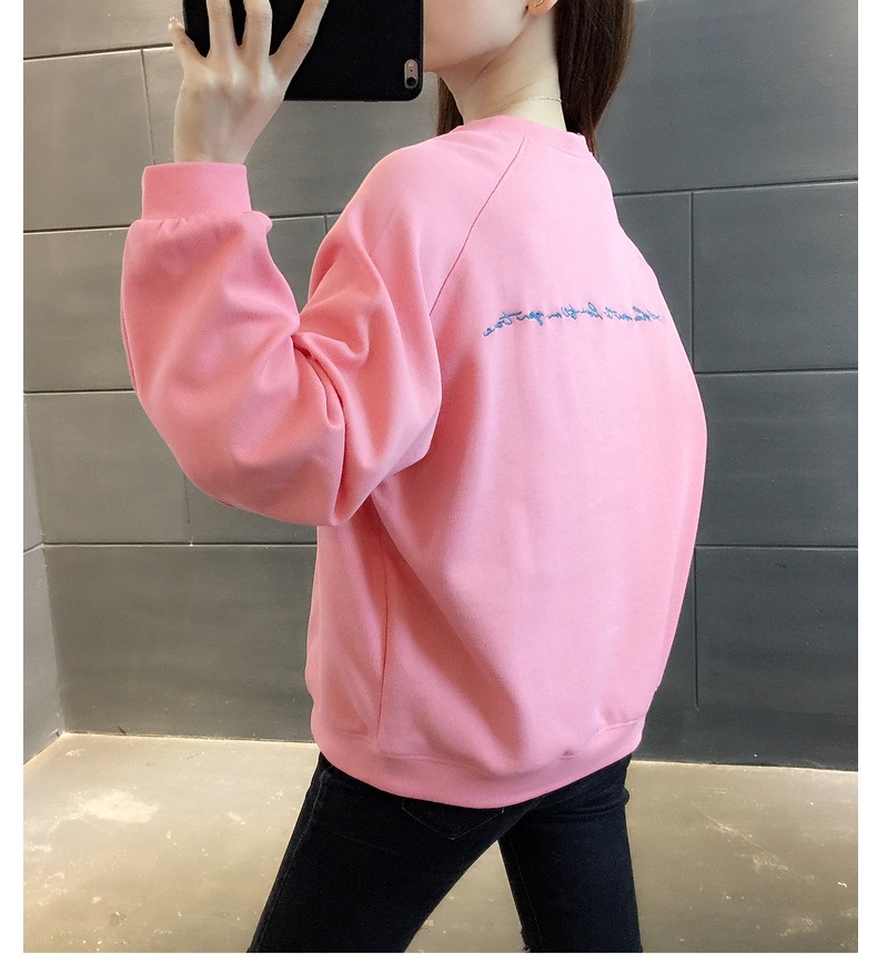 胸&背中刺しゅう きれい色 トップス プルオーバー スウェット ミディアム丈 長袖 ラグランスリーブ 襟なし クルーネック バックシャン バックコンシャス 刺繍 かわいい 大人可愛い シンプル 胸&背中刺しゅう きれい色 トップス プルオーバー スウェット ミディアム丈 長袖 ラグランスリーブ 襟なし クルーネック バックシャン バックコンシャス 刺繍 かわいい 大人可愛い シンプル