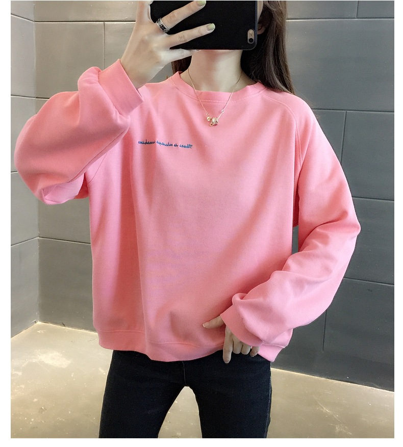 胸&背中刺しゅう きれい色 トップス プルオーバー スウェット ミディアム丈 長袖 ラグランスリーブ 襟なし クルーネック バックシャン バックコンシャス 刺繍 かわいい 大人可愛い シンプル 胸&背中刺しゅう きれい色 トップス プルオーバー スウェット ミディアム丈 長袖 ラグランスリーブ 襟なし クルーネック バックシャン バックコンシャス 刺繍 かわいい 大人可愛い シンプル