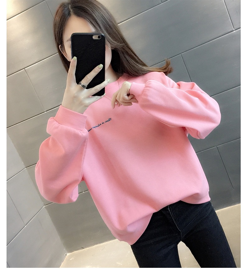 胸&背中刺しゅう きれい色 トップス プルオーバー スウェット ミディアム丈 長袖 ラグランスリーブ 襟なし クルーネック バックシャン バックコンシャス 刺繍 かわいい 大人可愛い シンプル 胸&背中刺しゅう きれい色 トップス プルオーバー スウェット ミディアム丈 長袖 ラグランスリーブ 襟なし クルーネック バックシャン バックコンシャス 刺繍 かわいい 大人可愛い シンプル