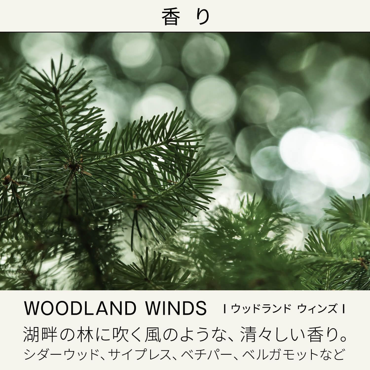 BAUM(バウム) モイスチャライジング オイル n 60mL オイル 森林浴のようなリフレッシュ感で包み込む清々しい天然ひのき香料をモダンに調香した香り スキンケア 保湿 素肌 森林浴 ユニセックス