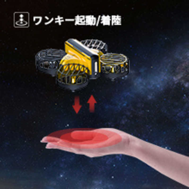 HOLYSTONE　ドローン 100g未満 ミニドローン こども向け 室内向け 対戦型 HS450-B　HS450B