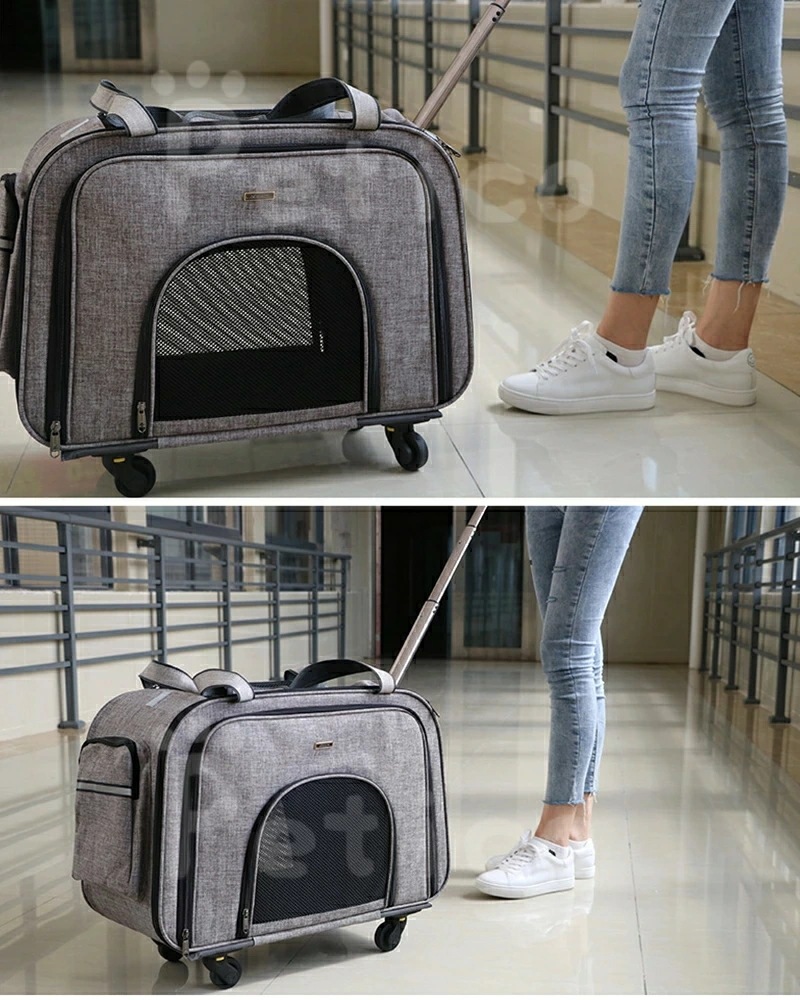 お早めに!ペットカート ペットキャリー ペットカート 猫 犬 バギー ペットキャリーカート折りたたみ キャスター付き 小型犬 中型犬 猫 ハンドル付き ペットキャリーバッグ お早めに!ペットカート ペットキャリー ペットカート 猫 犬 バギー ペットキャリーカート折りたたみ キャスター付き 小型犬 中型犬 猫 ハンドル付き ペットキャリーバッグ
