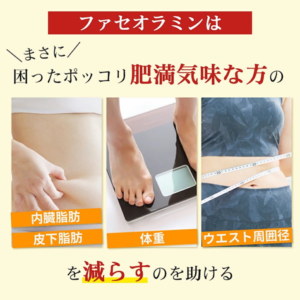 Qoo10] 【カワラヤ 公式】WABUCI ダイエッ