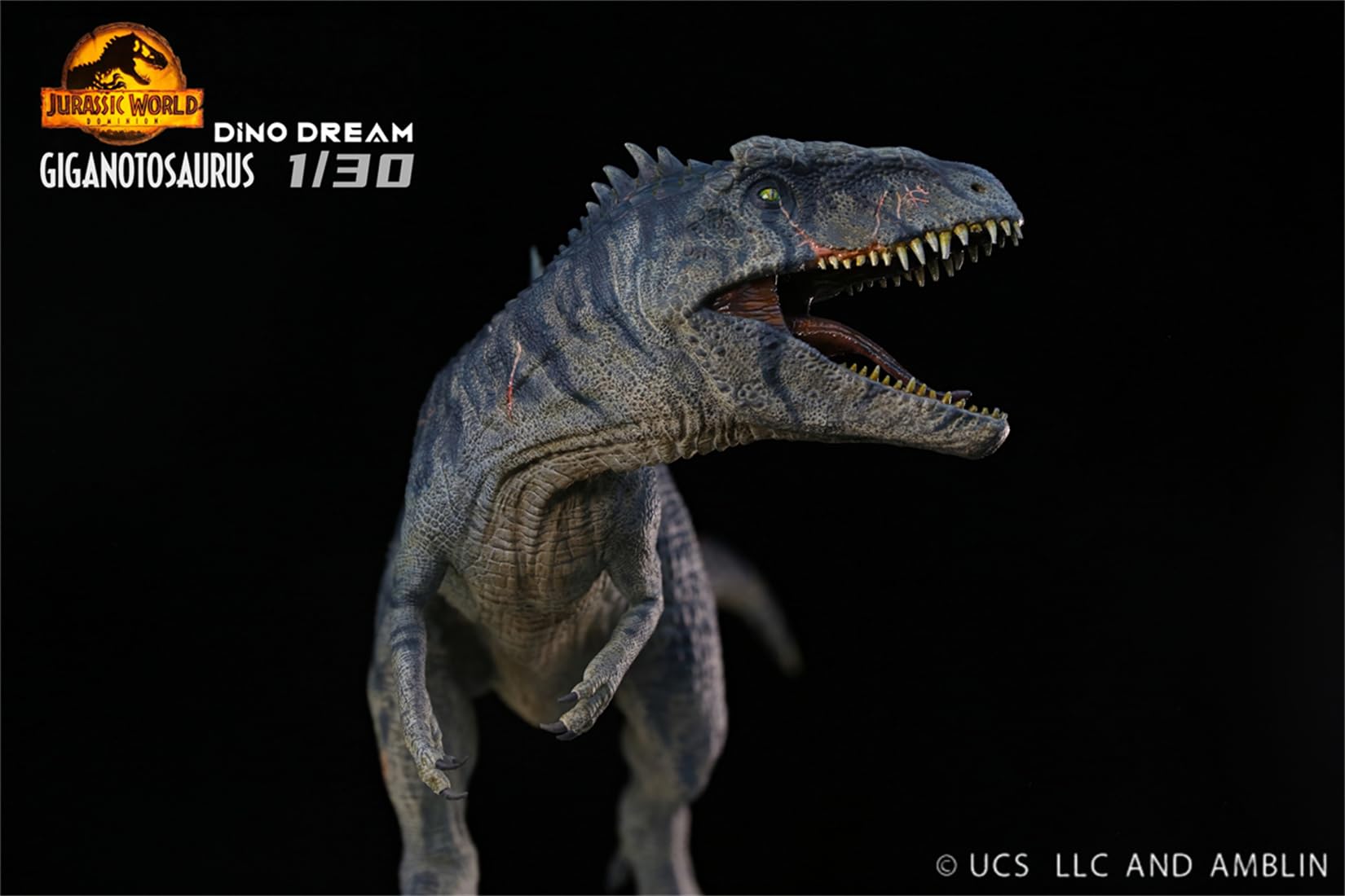 DINO DREAM 限定版 ギガノトサウルス DINO DREAM 1/30 サイズ ギガノトサウルス 限定版 44.5cm級 カル