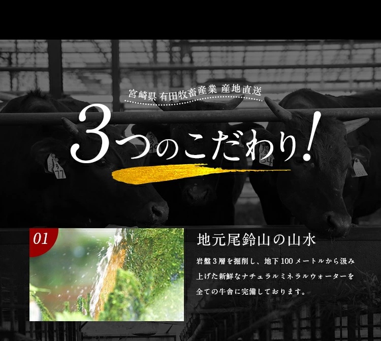 黒毛和牛 切り落とし 九州産 1.2kg(400g3) 国産 プレゼント ギフト 有田牧場 [産直]