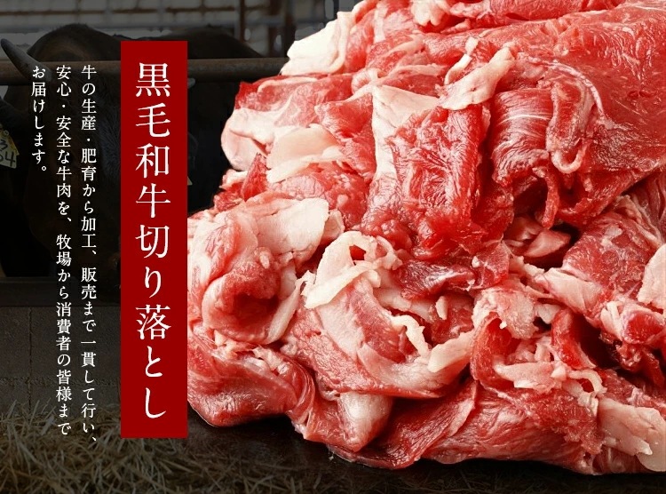 黒毛和牛 切り落とし 九州産 1.2kg(400g3) 国産 プレゼント ギフト 有田牧場 [産直]
