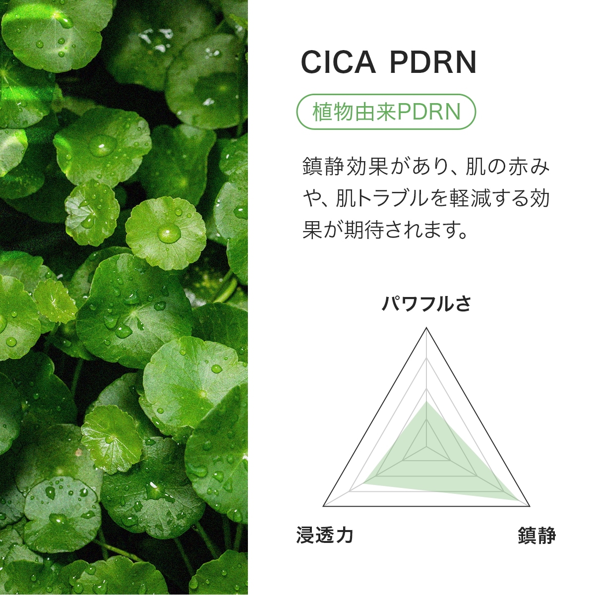 【45%OFF】贅沢3本セットトリプルPDRNクリーム ダーマイルミネーター韓国発/針美容/1本25ml /リジュラン/コラーゲン/レチノール/バクチオール/ナ 【45%OFF】贅沢3本セットトリプルPDRNクリーム ダーマイルミネーター韓国発/針美容/1本25ml /リジュラン/コラーゲン/レチノール/バクチオール/ナ