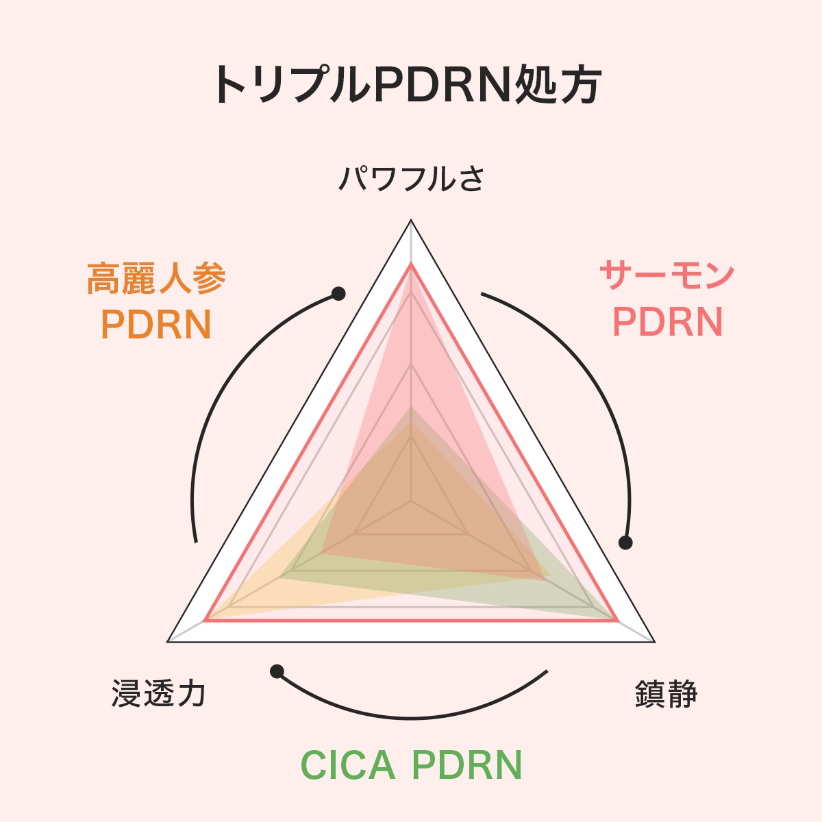 【45%OFF】贅沢3本セットトリプルPDRNクリーム ダーマイルミネーター韓国発/針美容/1本25ml /リジュラン/コラーゲン/レチノール/バクチオール/ナ 【45%OFF】贅沢3本セットトリプルPDRNクリーム ダーマイルミネーター韓国発/針美容/1本25ml /リジュラン/コラーゲン/レチノール/バクチオール/ナ