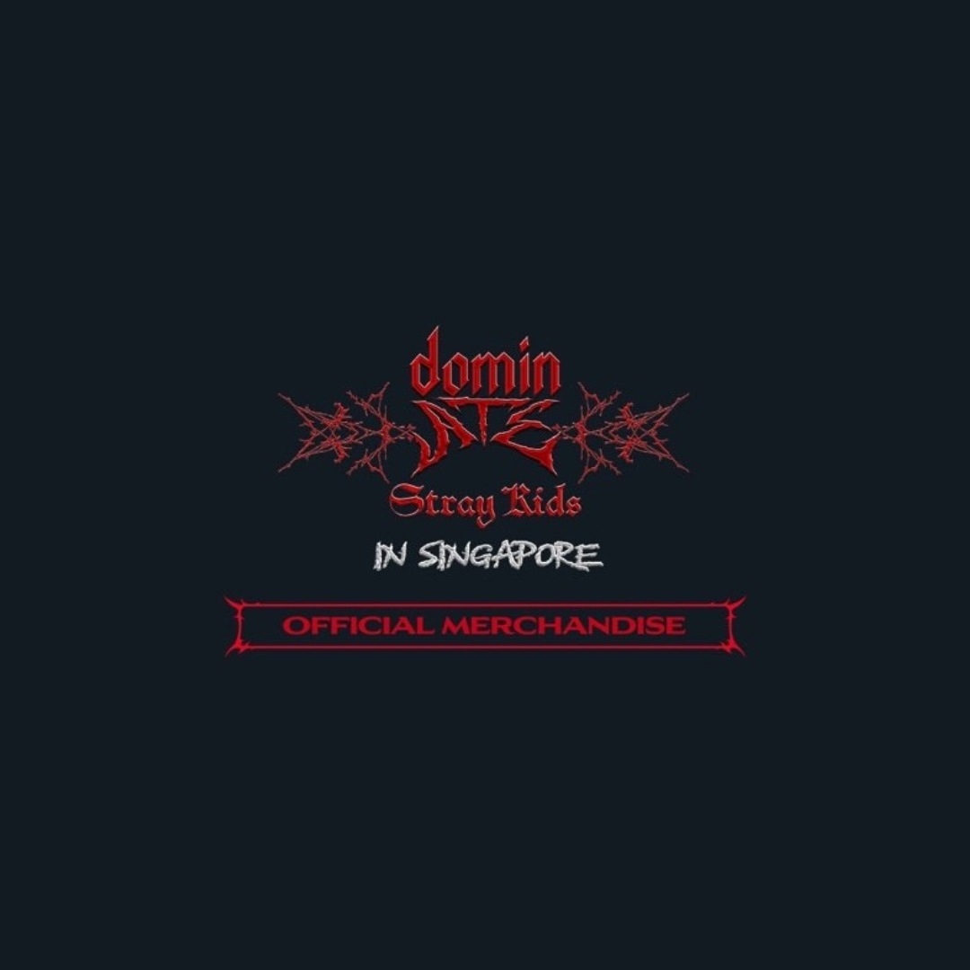 【 すぐ発送 】 【 公式 】 Stray Kids スキズ [ dominATE IN SINGAPORE ] BASKETBALL JERSEY ユニフォーム コンサート グッズ POP-UP