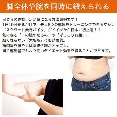 ホースライダー スクワット乗馬バイク フィットネス 負荷レベル12段階 ホワイト ホースライダー スクワット乗馬バイク フィットネス 負荷レベル12段階 ホワイト
