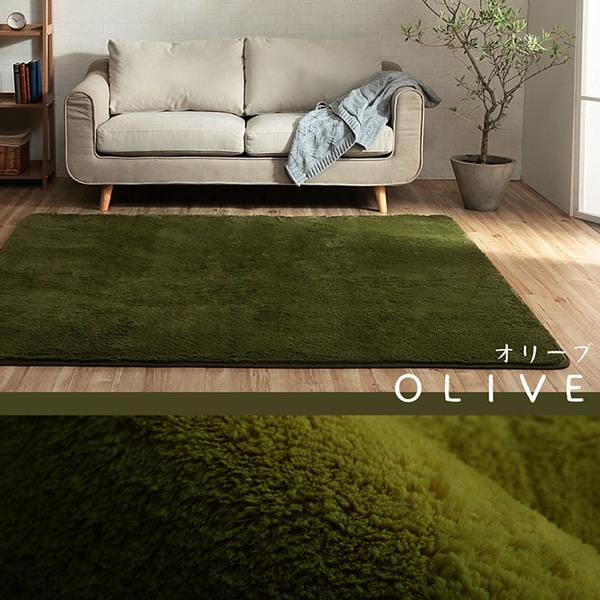 ラグ マット 絨毯 約200x300cm 約4畳 ブラウン 洗える 長方形 滑りにくい 無地 床暖房 ホットカーペット対応 オールシーズン