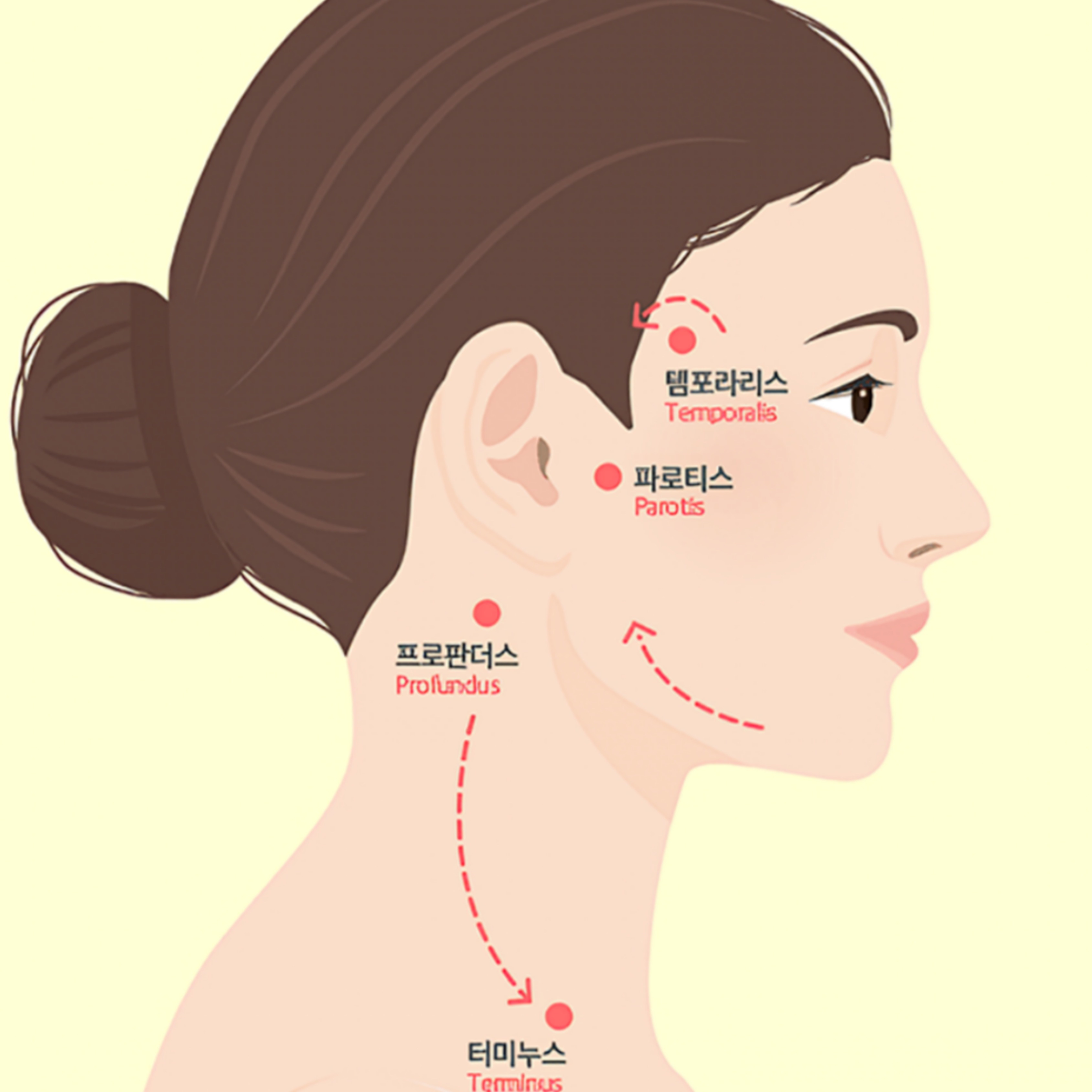 [韓国人気アイテム]ダイエット 弾力 マジッククリーム 150ML