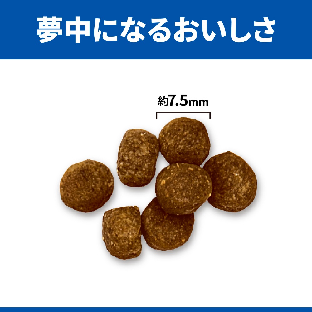 サイエンスダイエット シニアプラス 小粒 高齢犬用 10歳以上 6.5kg