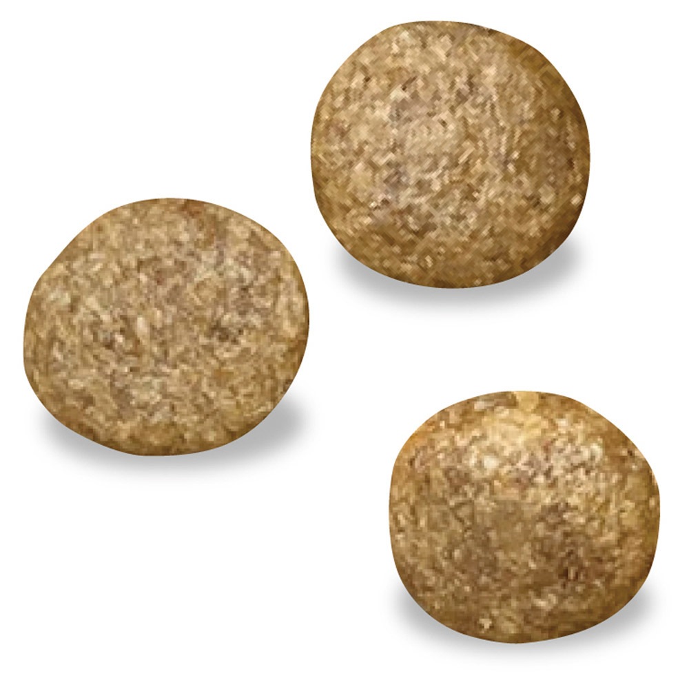 ベッツウェル 食事療法食 猫用 腎臓ケア 2kg ベッツウェル 食事療法食 猫用 腎臓ケア 2kg