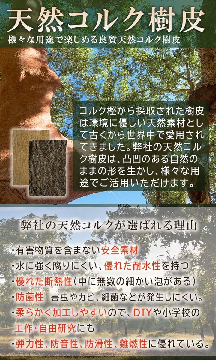 コルク樹皮 大きい 着生 ビカクシダ 蘭 エアプランツ 爬虫類 観葉植物 本物 ヘゴ板(特大400mmx600mm 1枚) コルク樹皮 大きい 着生 ビカクシダ 蘭 エアプランツ 爬虫類 観葉植物 本物 ヘゴ板(特大400mmx600mm 1枚)