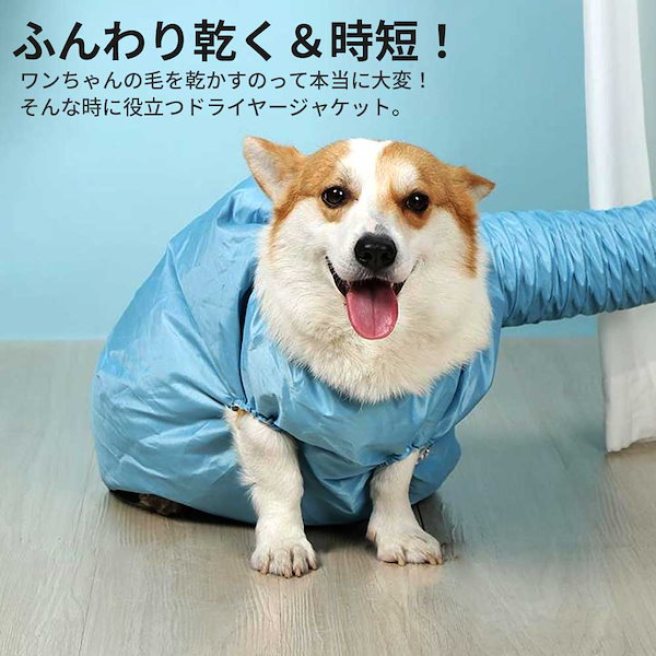 Qoo10] ペット ドライヤー ボックス 犬猫用 ペ