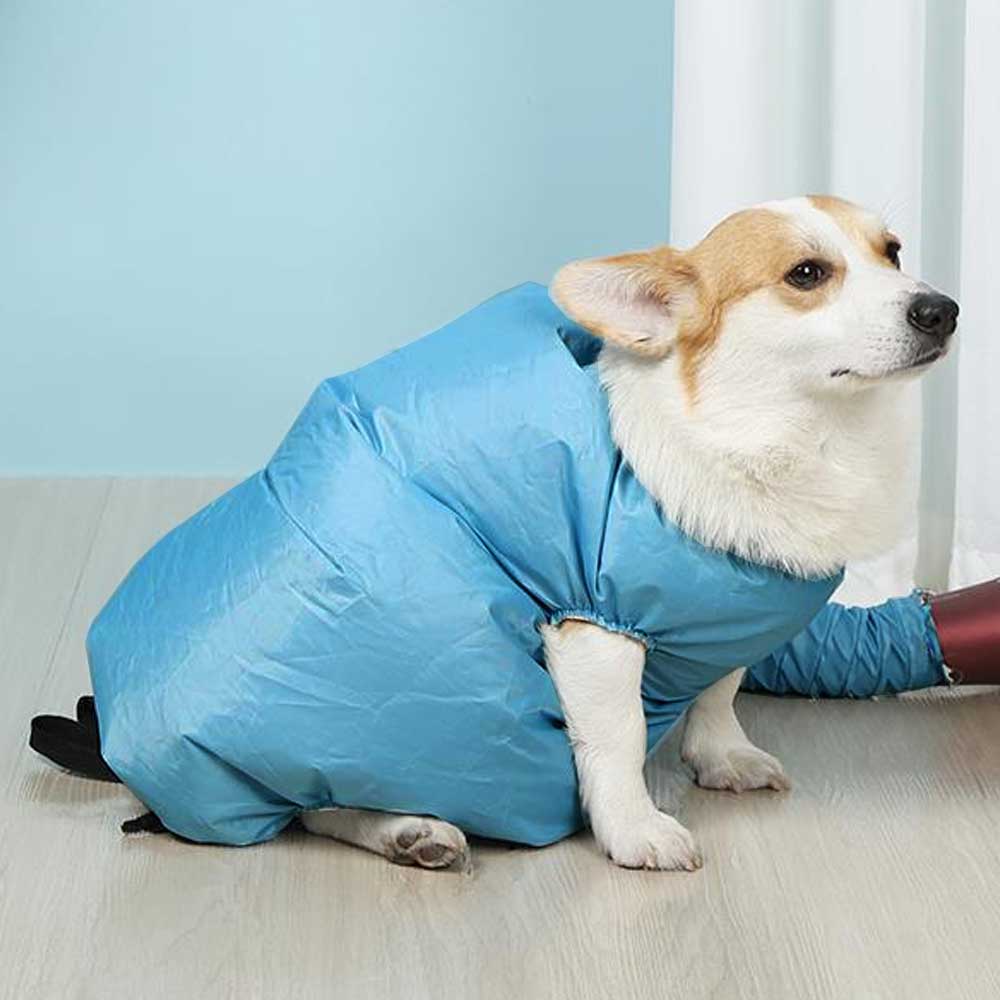 Qoo10] ペット ドライヤー ボックス 犬猫用 ペ