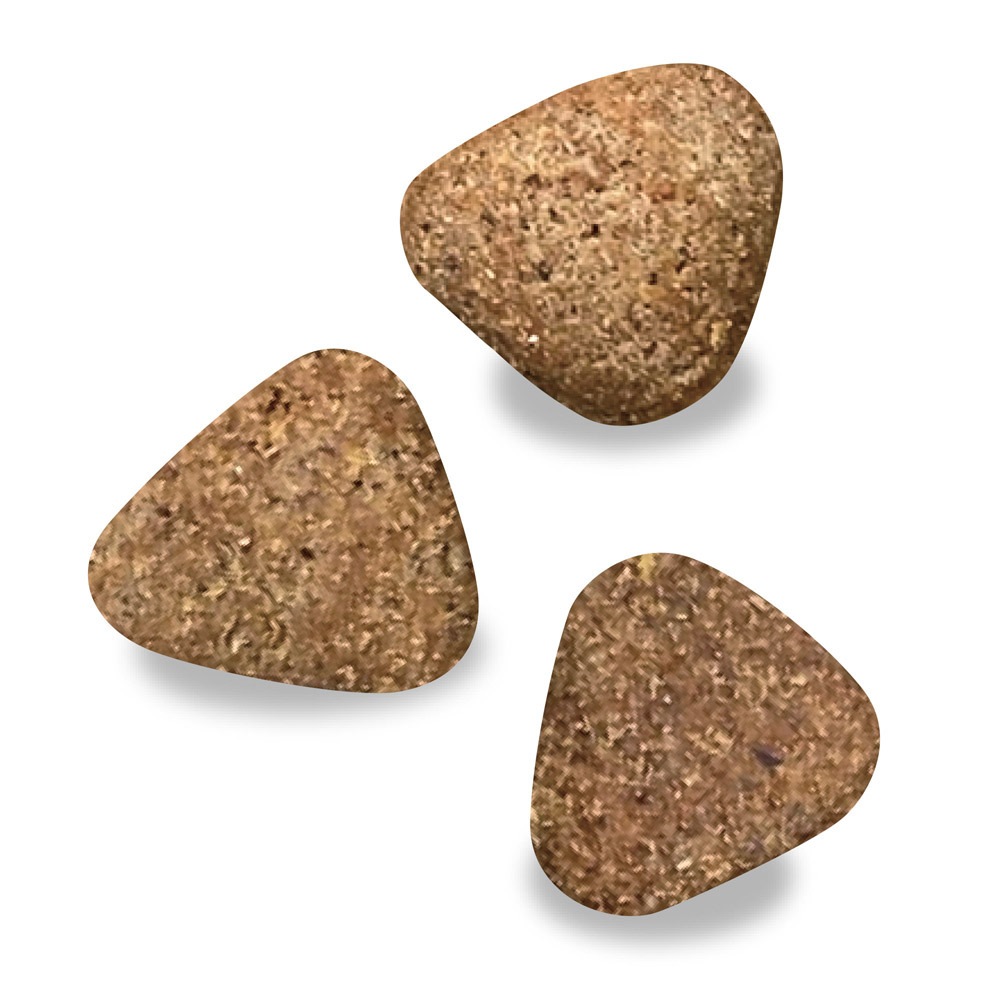 ベッツウェル 食事療法食 犬用 肥満ケア 3kg ベッツウェル 食事療法食 犬用 肥満ケア 3kg