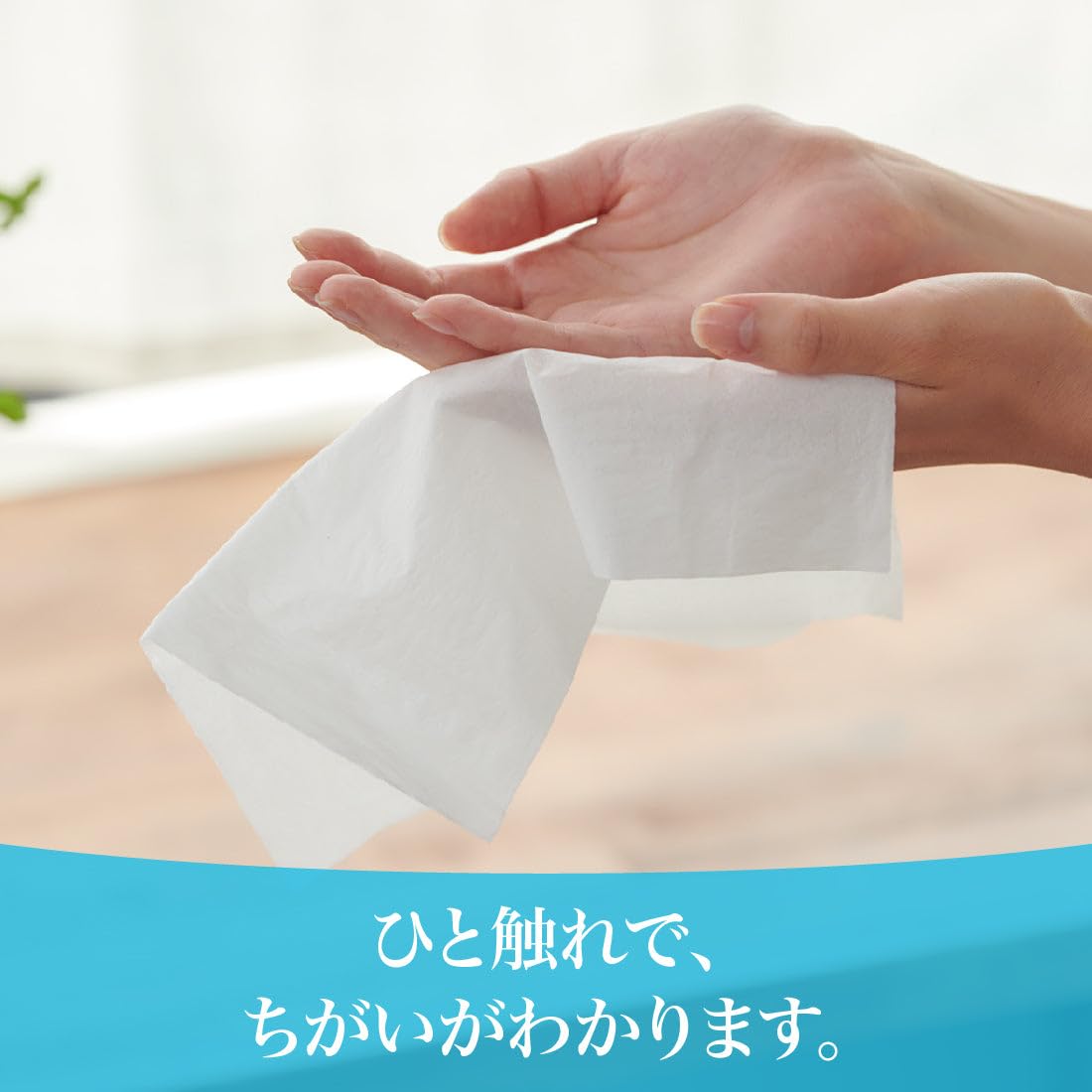 エリエール ソフトパックティシュー プラスウォーター( Water) 120組×45パック (5パック×9入) 【ハーフケース】 【EC限定 シンプル段ケース】 エリエール ソフトパックティシュー プラスウォーター( Water) 120組×45パック (5パック×9入) 【ハーフケース】 【EC限定 シンプル段ケース】