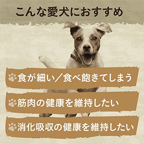ワイルドレシピ 超小型犬~小型犬用 グレインフリー 成犬用 チキン 2kg ドライフード 総合栄養食 ドッグフード 犬 穀物フリー 香料・着色料 無添加 消化吸収の健康維持 ニュートロ ワイルドレシピ 超小型犬~小型犬用 グレインフリー 成犬用 チキン 2kg ドライフード 総合栄養食 ドッグフード 犬 穀物フリー 香料・着色料 無添加 消化吸収の健康維持 ニュートロ
