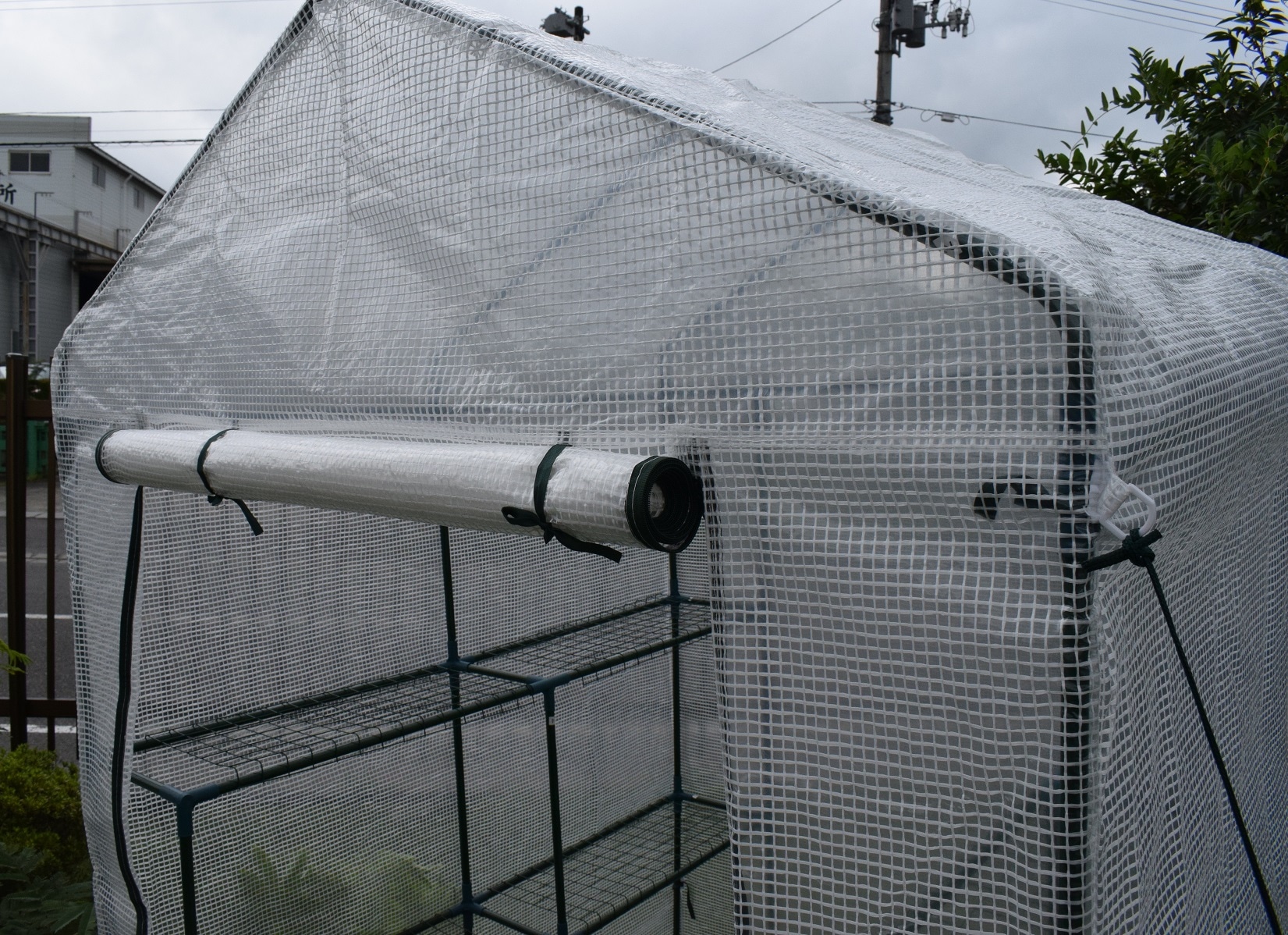 園芸用菜園ハウス 中 長さ143ｘ幅143ｘ高さ195cm 菜園ビニールハウス 温室ビニールハウス