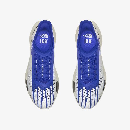 W TNF X IKB SUMMIT VECTIV PRO 2 [NS97Q52]