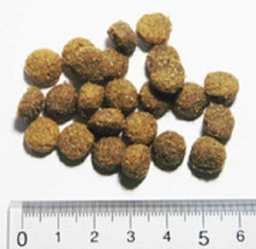 アーガイルディッシュ エバーラスティング シニア 2kg【犬想いオリジナル今治ハンドタオルプレゼント】【タオルカラー ネイビー】 アーガイルディッシュ エバーラスティング シニア 2kg【犬想いオリジナル今治ハンドタオルプレゼント】【タオルカラー ネイビー】