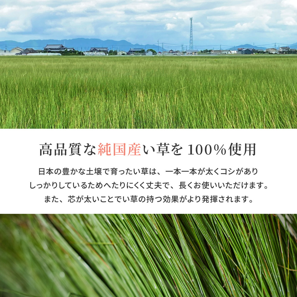 国産 い草ラグ イデア 約191×191cm 裏貼り 滑り止め加工 センターラグ アクセントラグ 花柄 国産 い草ラグ イデア 約191×191cm 裏貼り 滑り止め加工 センターラグ アクセントラグ 花柄