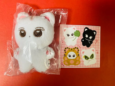 aespa ニンニン 10cm ドール マスター aespa エスパ カリナ ぬいぐるみ