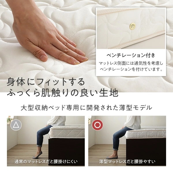 [組立設置付]収納ベッド セミダブル 国産薄型ポケットコイルマットレス付 ブラウン AAA 棚付