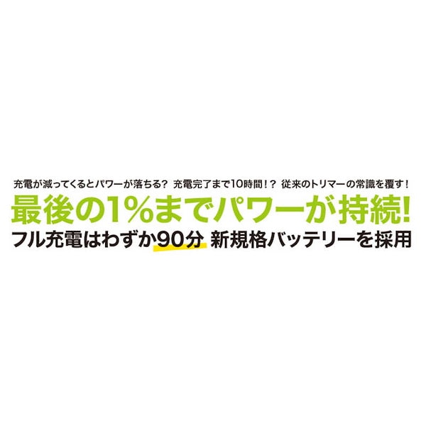 AIVIL AT-15G06 プロトリマー [交流充電式 国内・海外対応] - メンズ