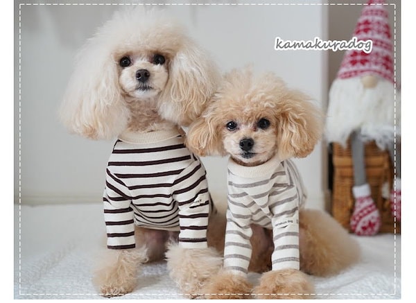 犬服　マルチボーダーＴシャツ　犬ボーダーウェア　ペット服 楽天市場】【当社オリジナル】犬 服 中型犬 フレンチブルドッグ