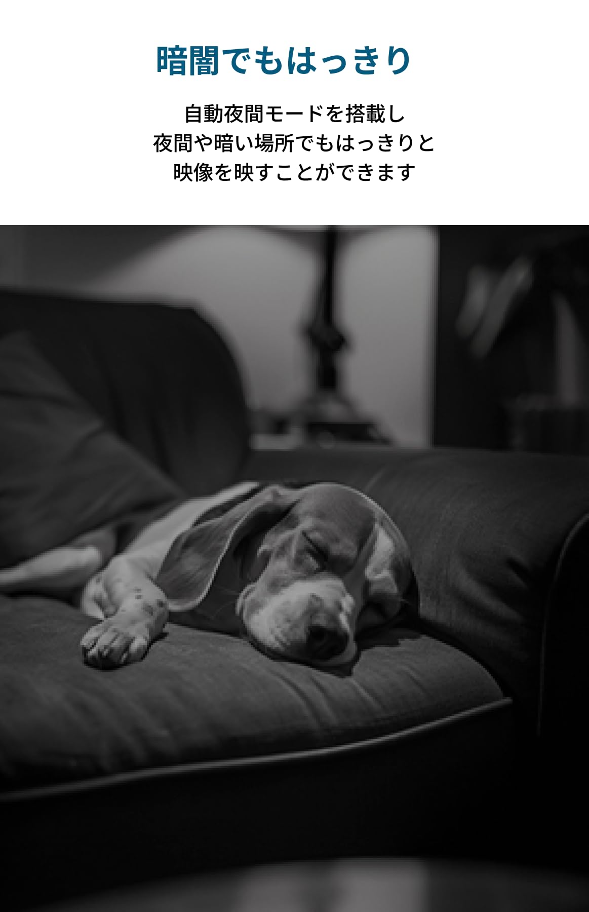 Anker Eufy Indoor Cam C220 (屋内カメラ) 【ペットカメラ/ネットワークカメラ/ベビーモニター/ペット見守り/防犯カメラ / 2K画質 / ズーム対応 / 360監視/AI動 mdprevattcaulkingandwaterproofing.com