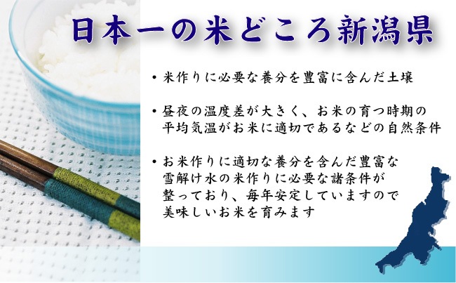 令和6年産 無洗米 新潟県産コシヒカリ 20kg (5kgx4袋) お米マイスター厳選 HACCP認定工場 SI