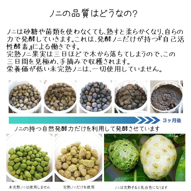 ノニサプリ　『ノニ酵素ＥＸＷ』（パラオ産100％）　完熟発酵したパラオ産のノニ果実を丁寧に手しぼり　140種類以上の栄養成分　酵素が活きている　エイジングケアの強い味方　健康生活の手助けに