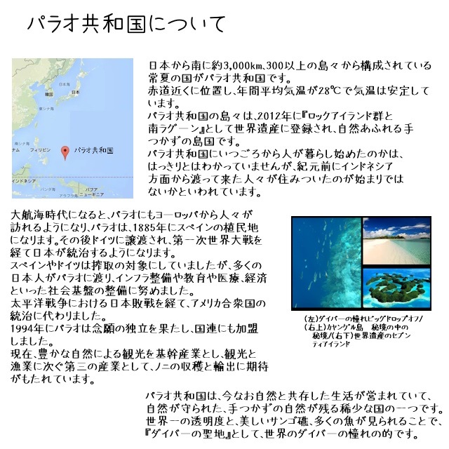 ノニサプリ　『ノニ酵素ＥＸＷ』（パラオ産100％）　完熟発酵したパラオ産のノニ果実を丁寧に手しぼり　140種類以上の栄養成分　酵素が活きている　エイジングケアの強い味方　健康生活の手助けに