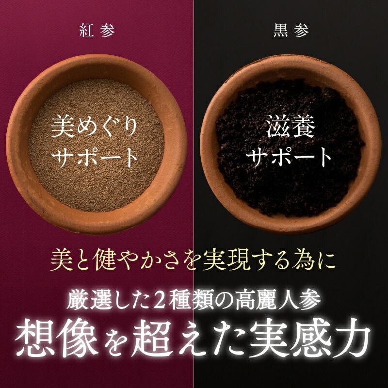 【公式】高麗のめぐみ 1袋60粒 2袋 高麗人参 紅参 黒参 サポニン 美容 健康 女性 高麗人参サプリ