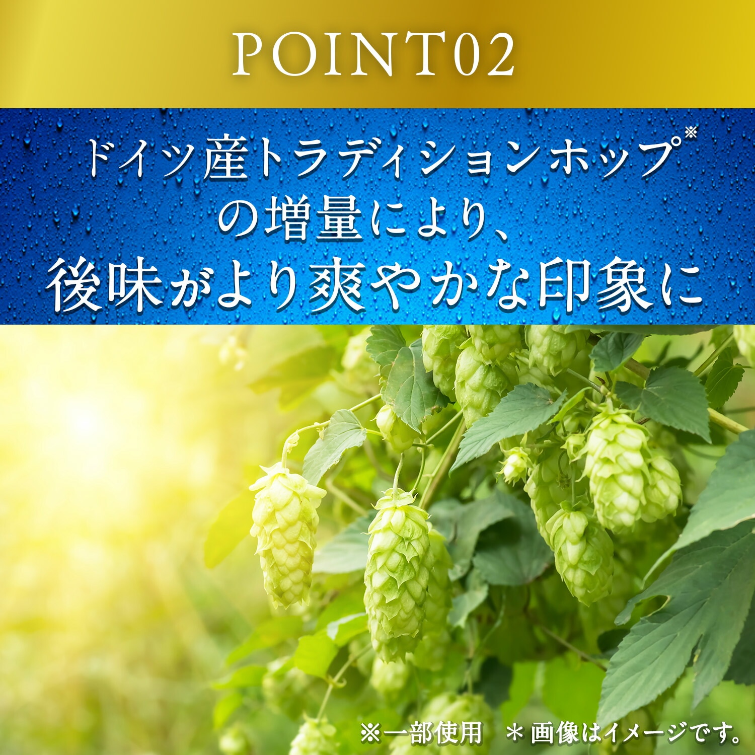 【送料無料】キリン 一番搾り 糖質ゼロ 500ml24本/1ケース【北海道東北四国九州沖縄県は必ず送料がかかります】