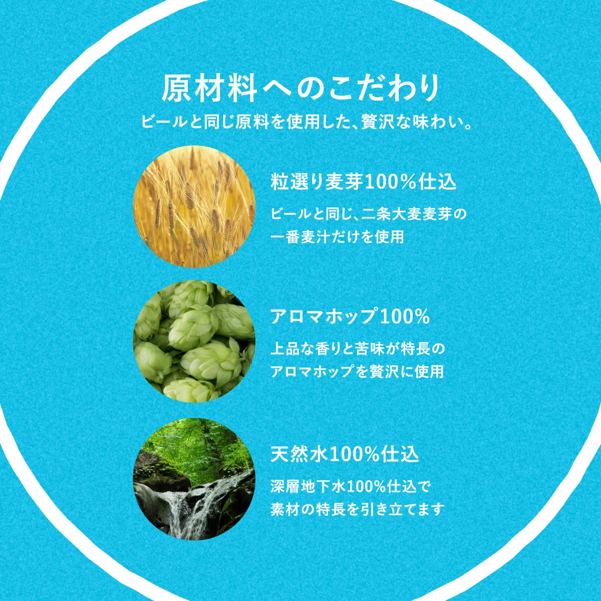 【内臓脂肪を減らす】2ケースまとめ買い からだを想う オールフリー ノンアルコール ビール 350ml 48本 SPBC
